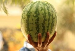 吃瓜大瓜事件,揭秘网络舆论狂欢背后的真相